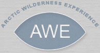 Arctic Wilderness Experience